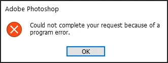 Program error